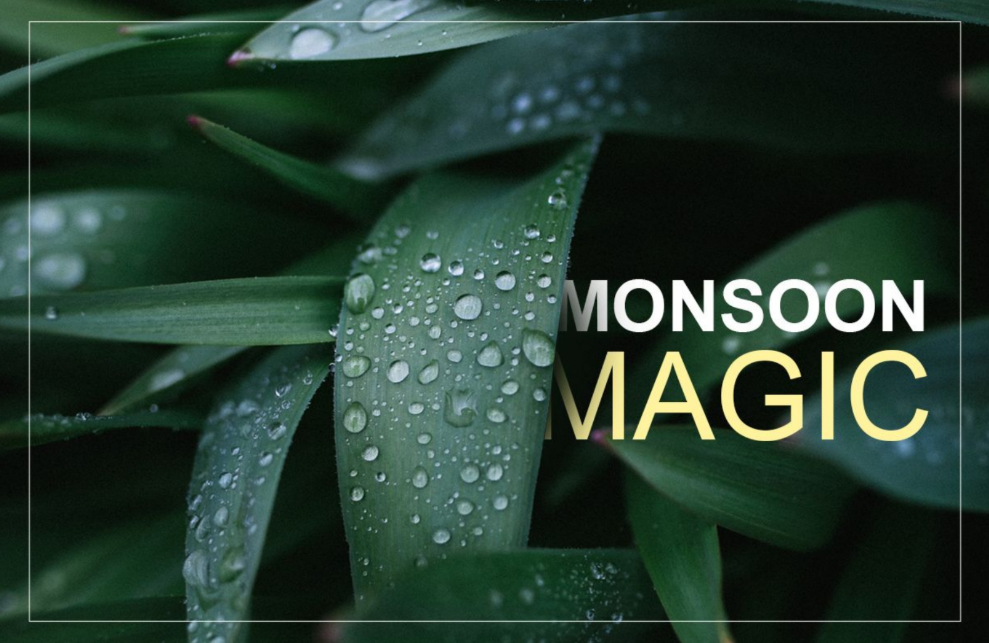 Monsson-Magic-Booklet