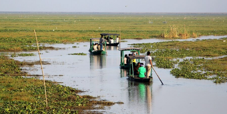 Youth4Water-Plus-Factsheet-on-Wetlands