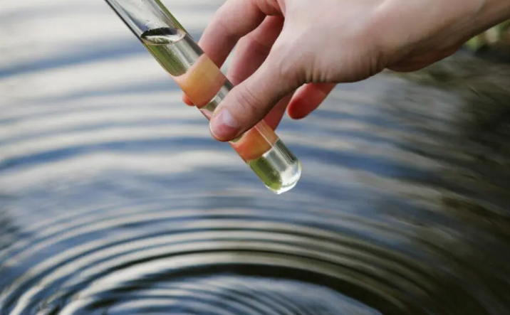 Visual-Indicators-of-Pond-Health-Factsheet