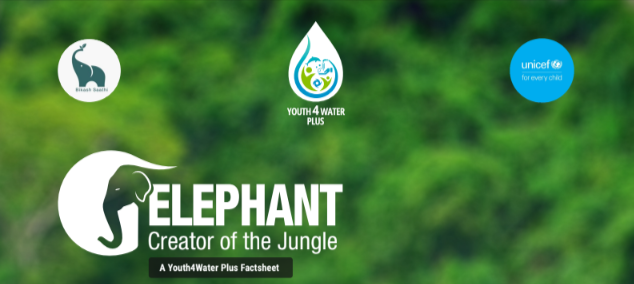 ELEPHANT-Youth4Water-Plus-Factsheet