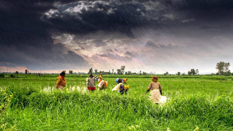 Climate-Change-Factsheet